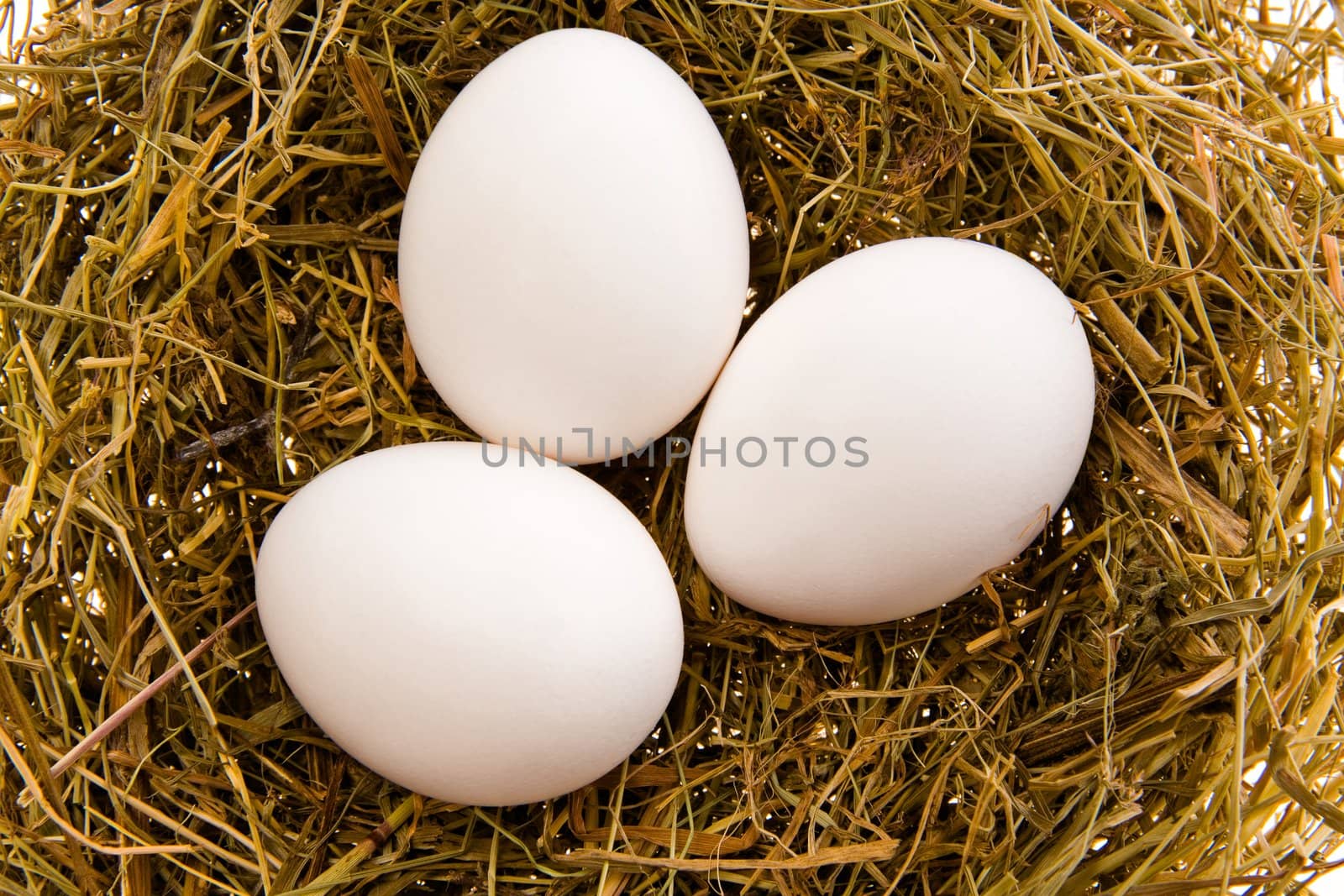 Three white eggs in a nest by Gravicapa