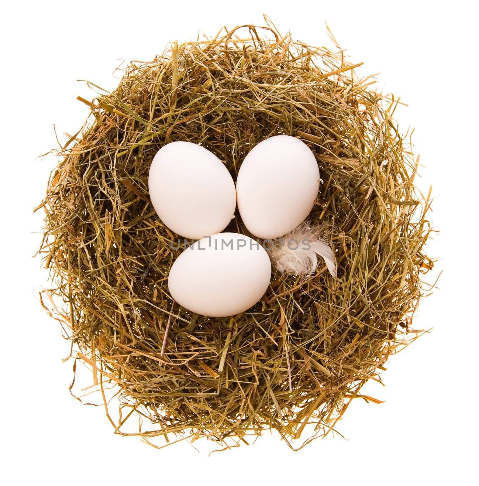 Three chicken white eggs in a small nest from a dry grass on a white background
