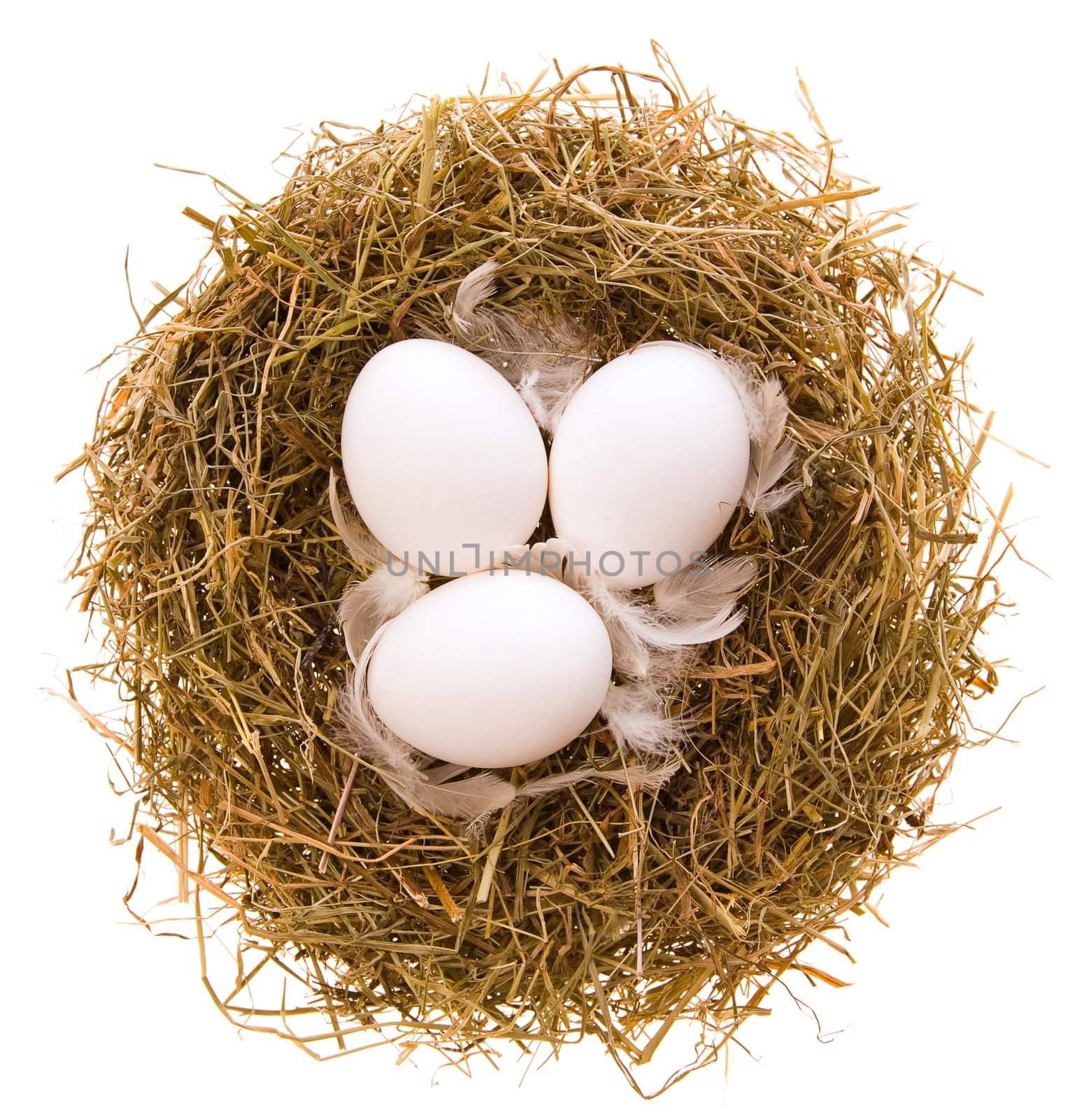 Three chicken white eggs and feathers in a nest from a dry grass on a white background
