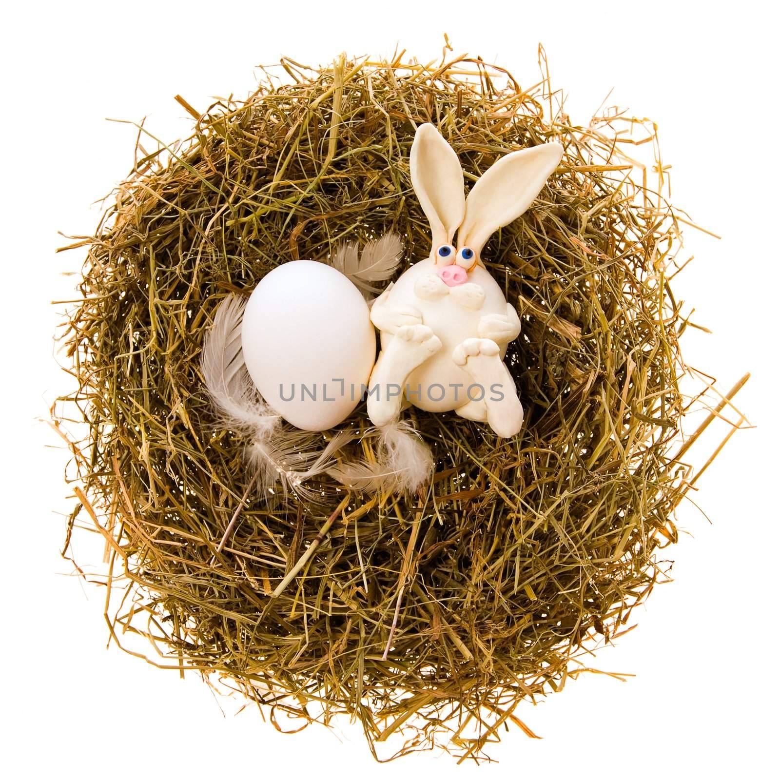 Easter rabbit in a nest by Gravicapa