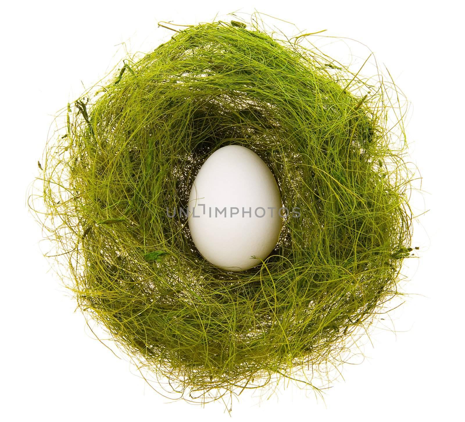 Egg in a green nest by Gravicapa