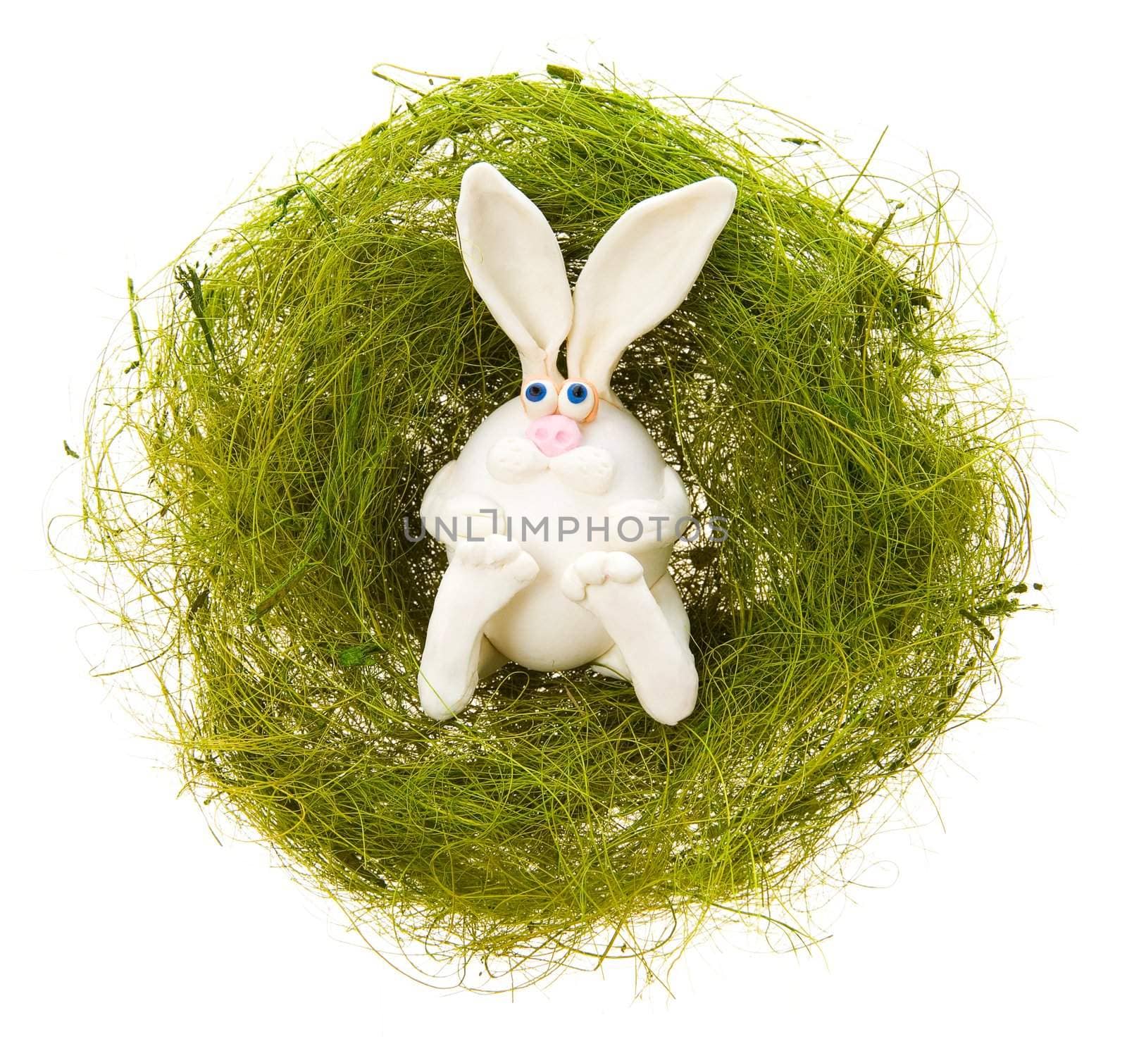 White rabbit in a green nest by Gravicapa
