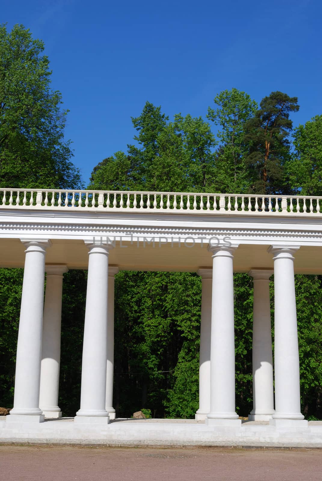 White colonnade in a park, vertical version