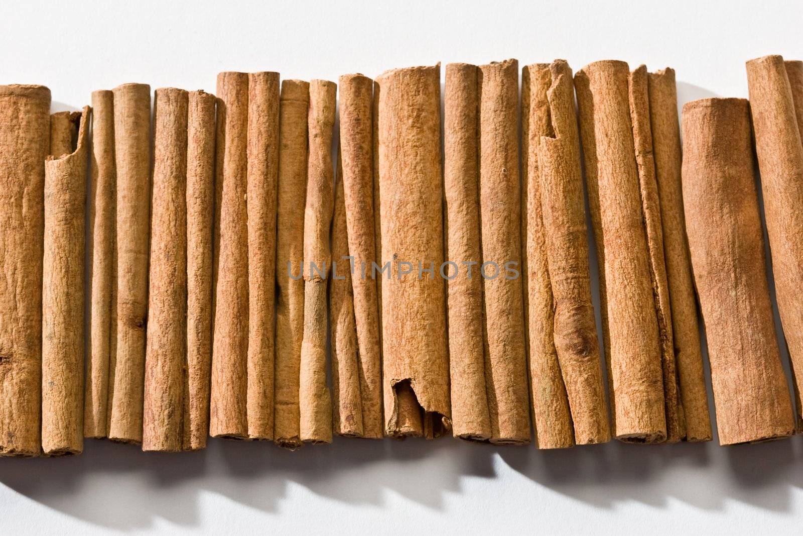 food theme: line of natural cinnamon sticks