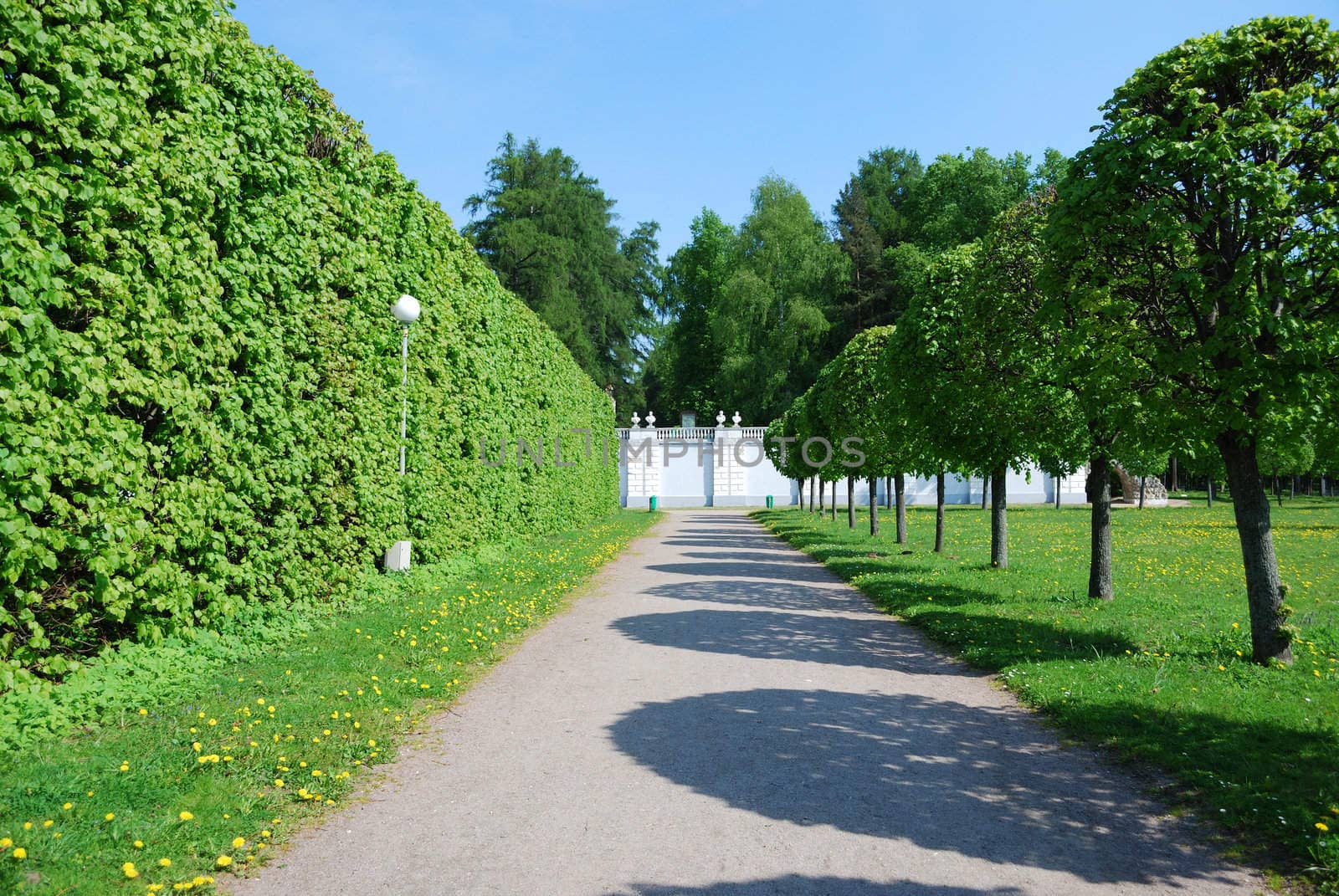 Gardens in Arkhangelskoye estate, Moscow, Russia