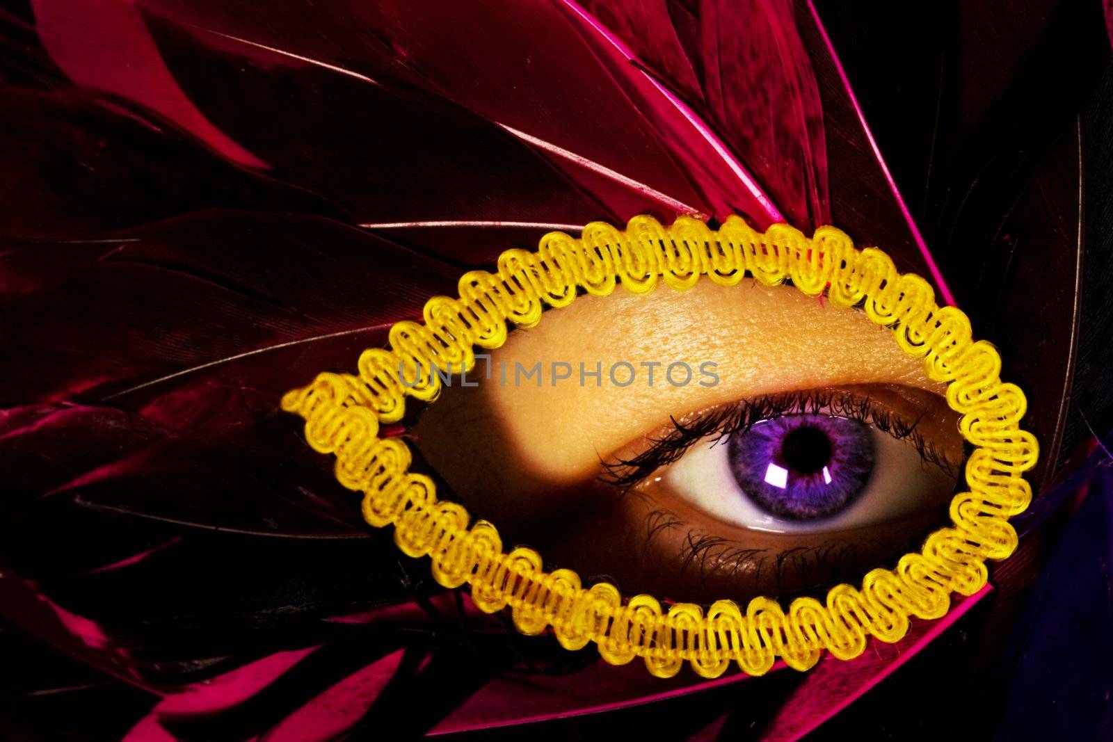 Part of Face: female eye, lady in the mask