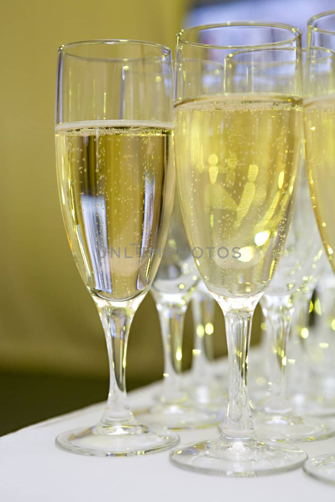 Some glasses with a white sparkling wine stand on the brink of a table
