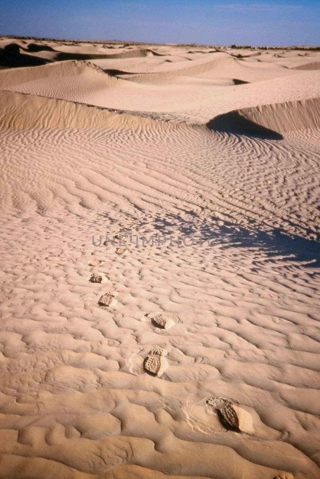 Footprints on desert sand by sil