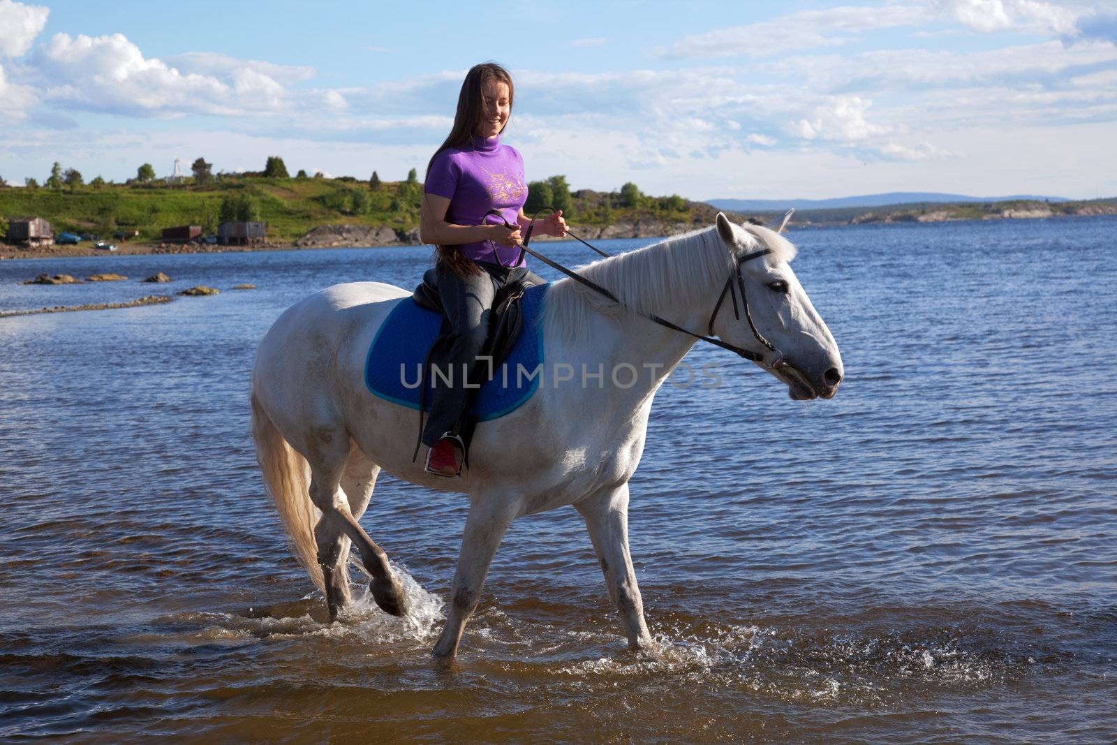 The girl led the horse to swim. Summer landscape.