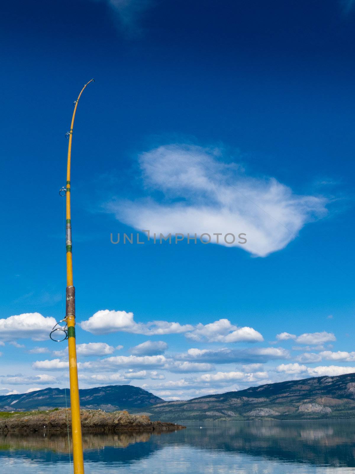 Fishing rod bends under weight of fish that just took lure in Lake Laberge, Yukon Territory, Canada