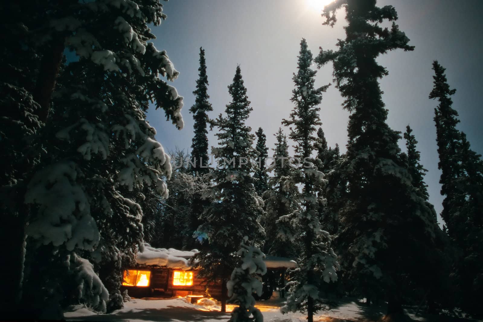 Cozy log cabin at moon-lit winter night by PiLens