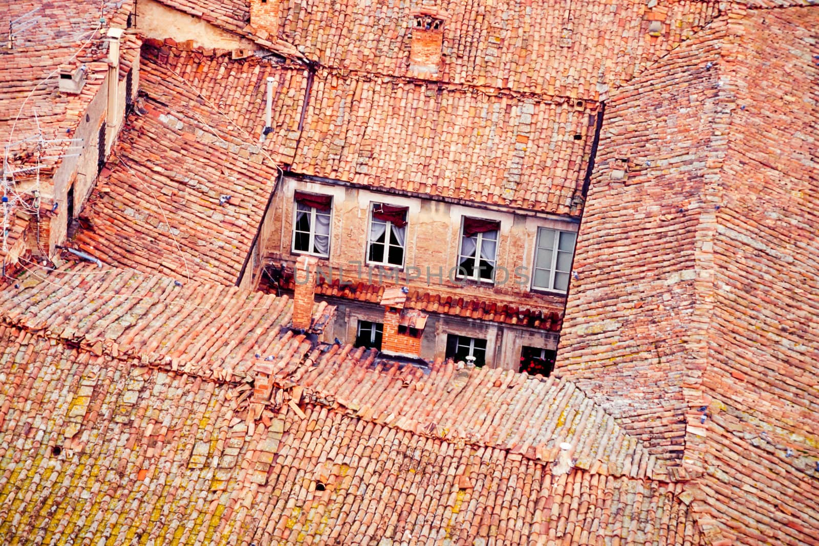 Backyard and roof-tops in old town of Siena, Tuscany, Italy, Europe