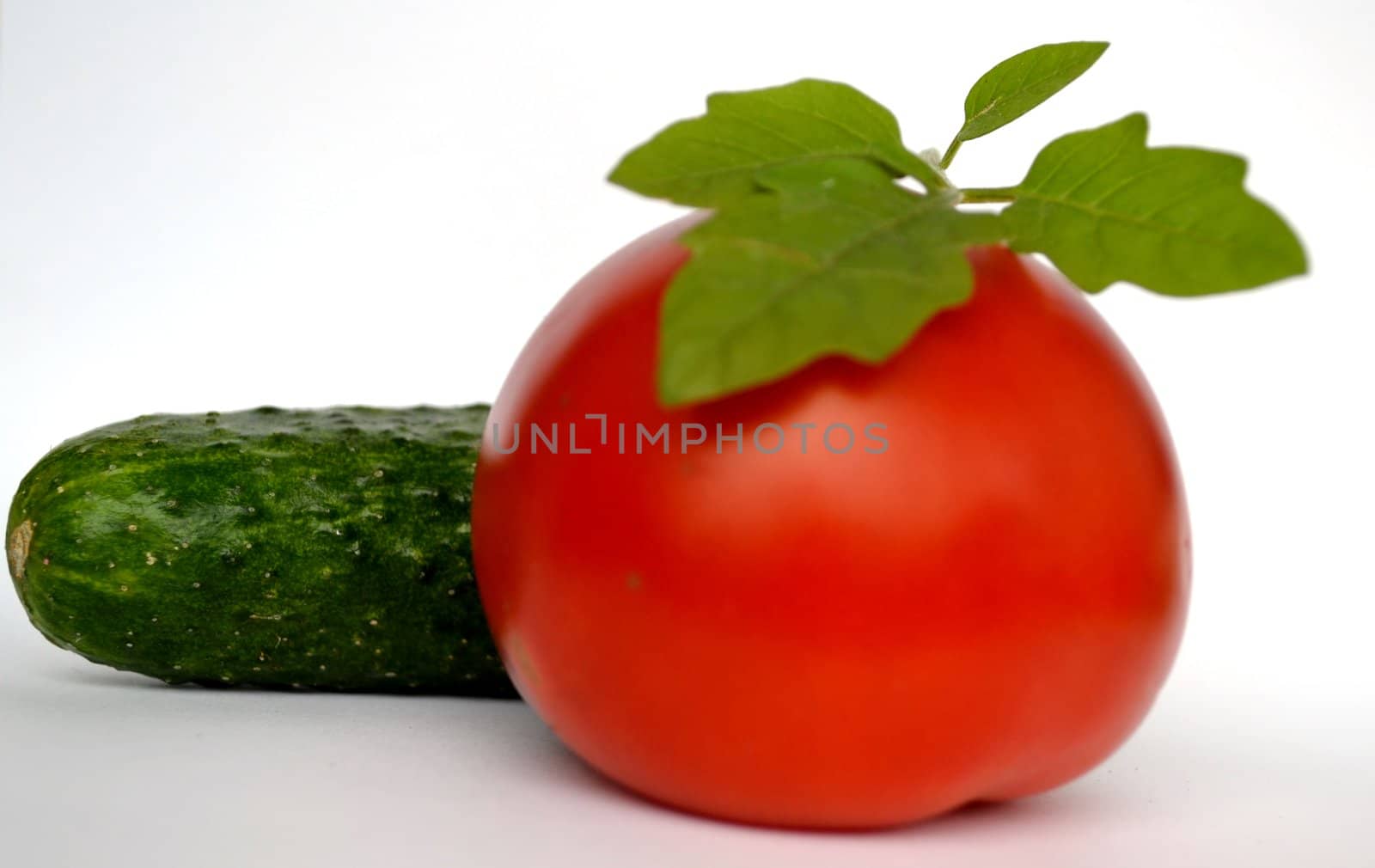 vegetables on a white background