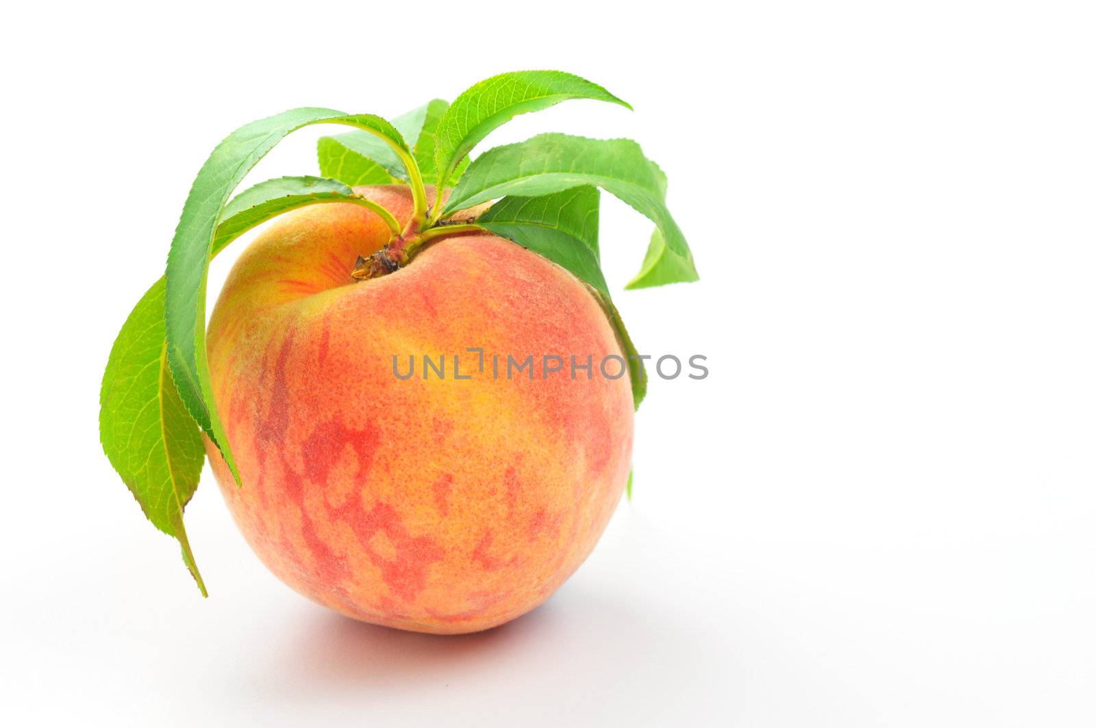 Fresh picked peach on a white background.