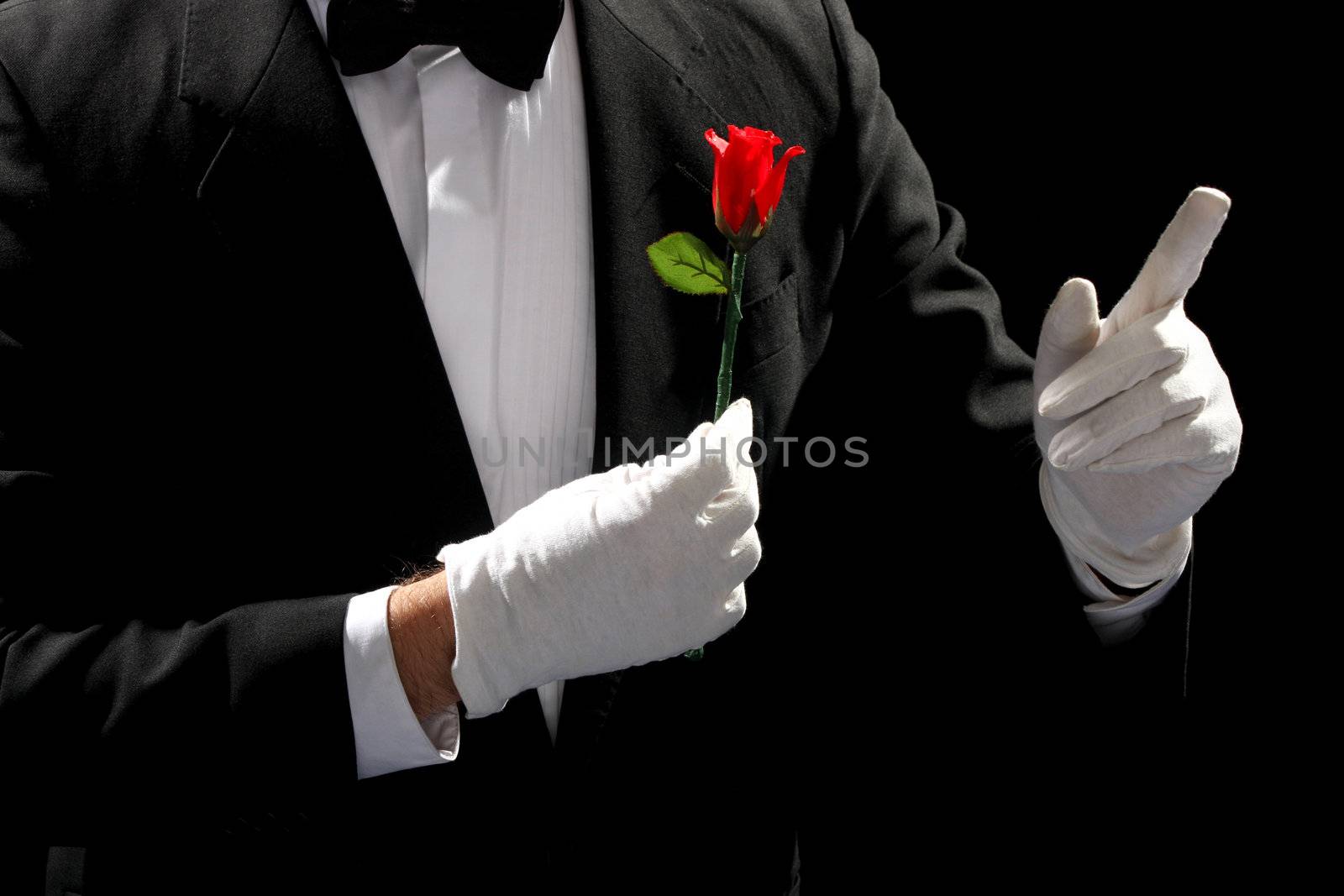 young magician performing red rose on black background