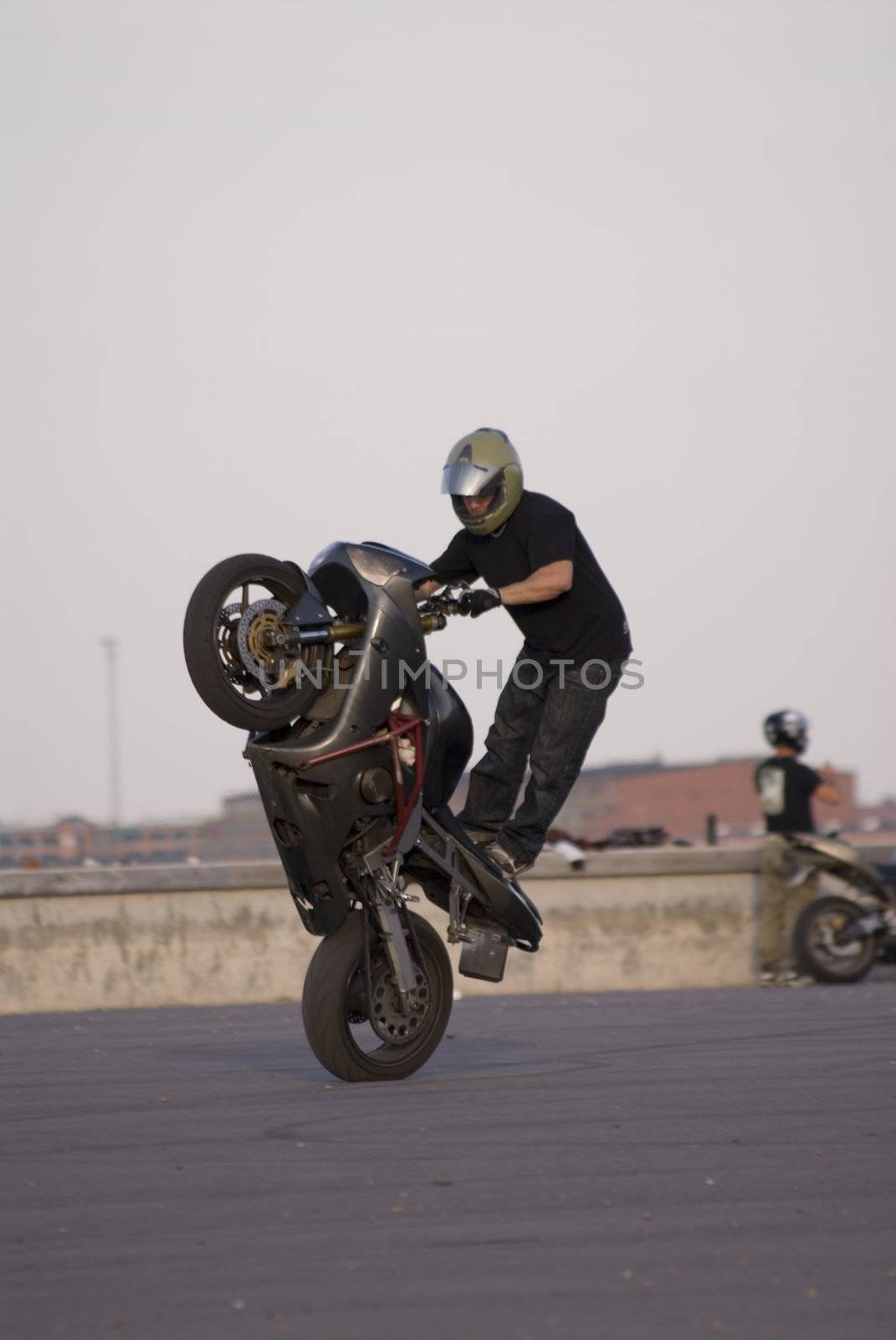 portrait of motorcycle show at harbour