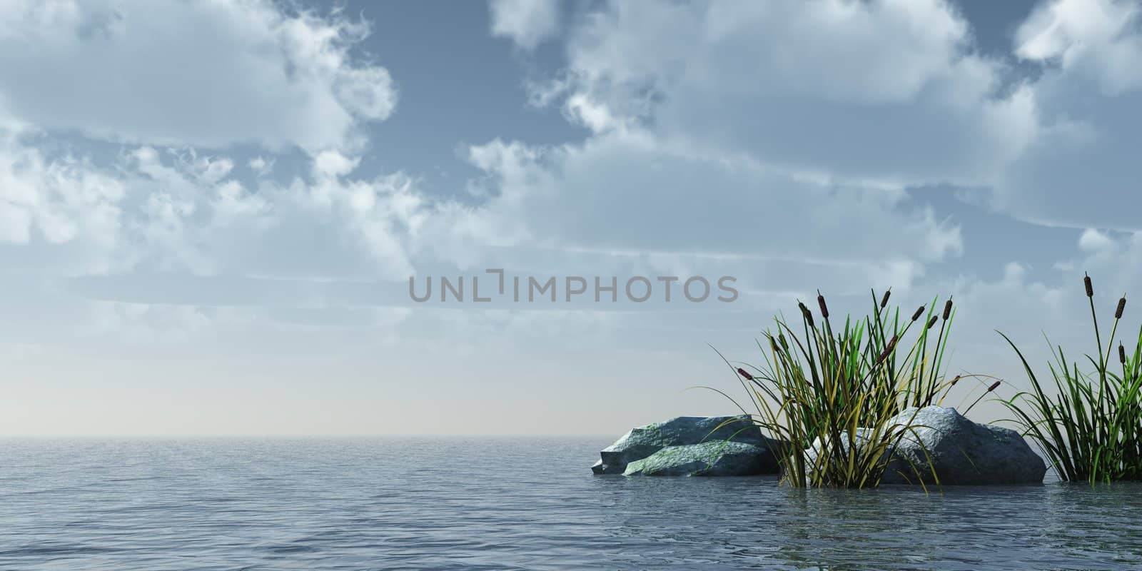 reed and stones on water in front of blue sky - 3d illustration
