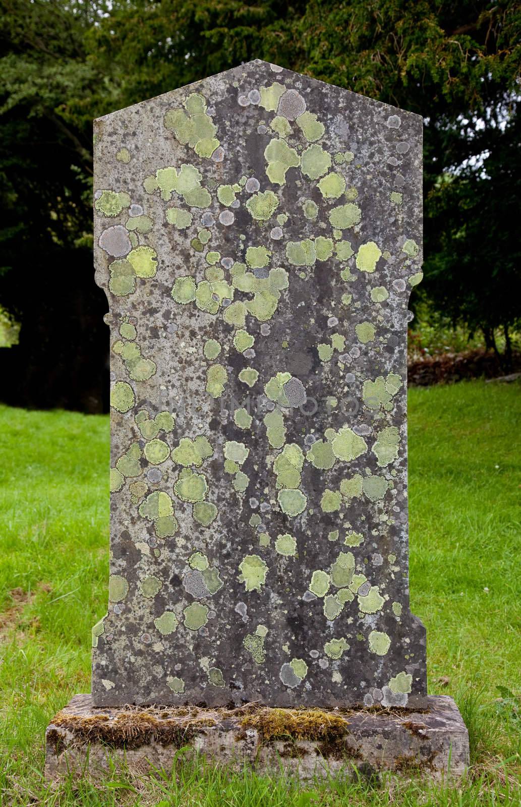 View of headstone covered with old moss and lichens