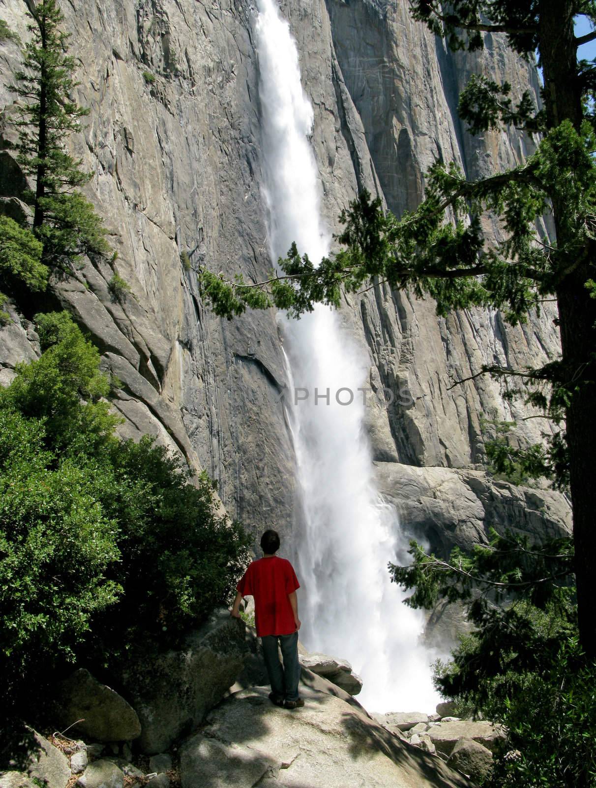 Hiker overlooking main flow of Yosemite Falls by steheap