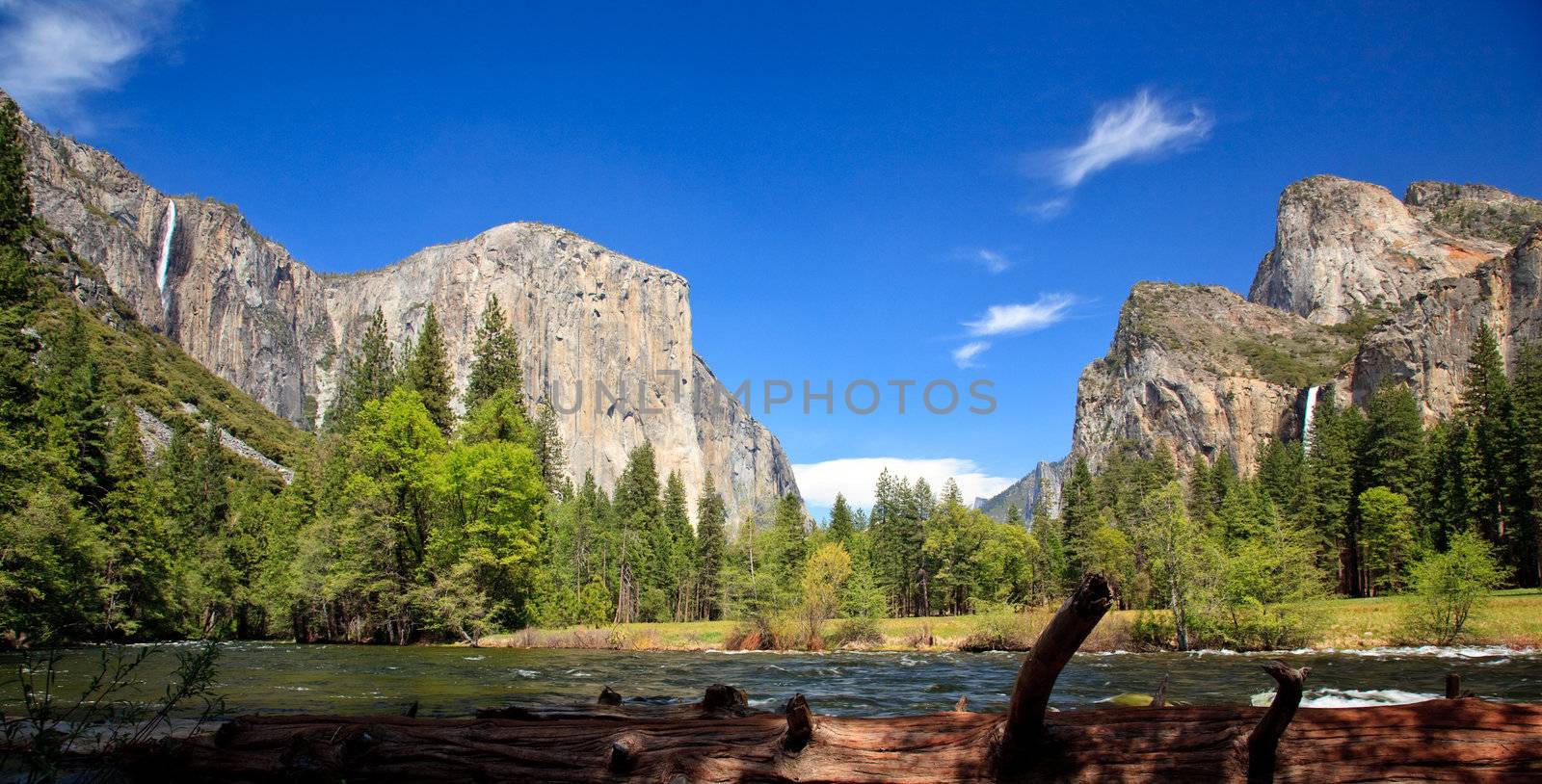View into Yosemite Valley with cedar colored log in foreground