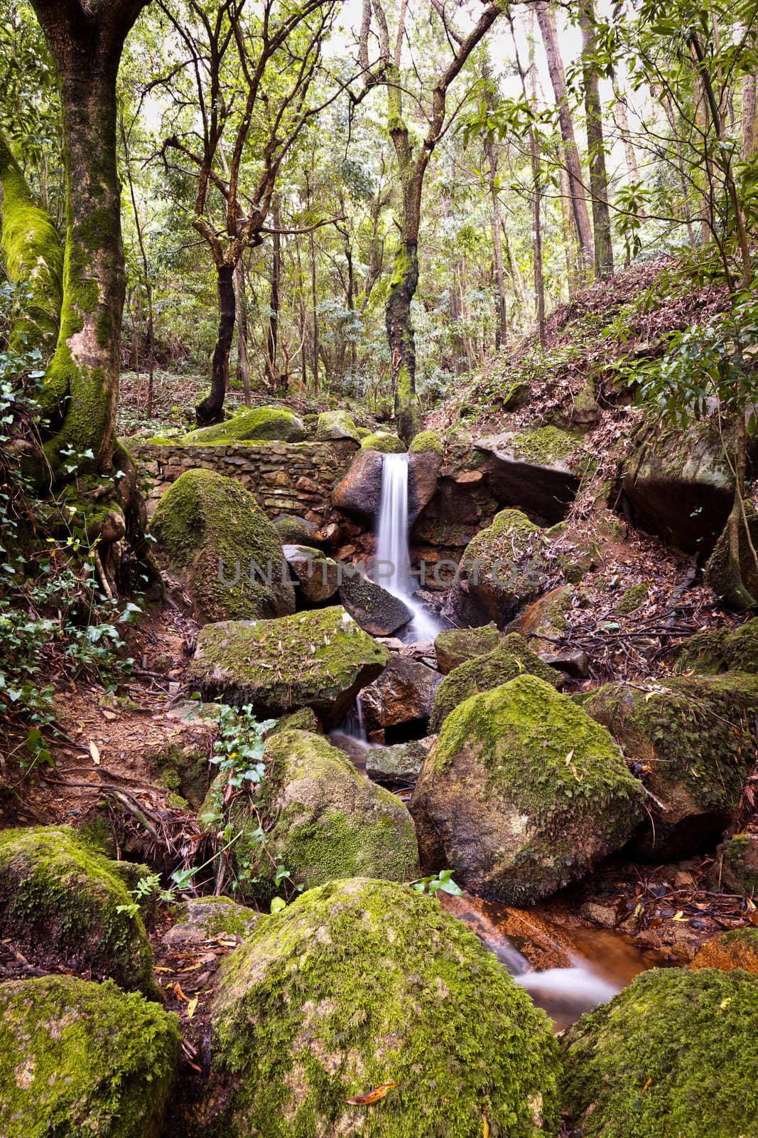 Small natural waterfall in the national park Sintra-Cascais.