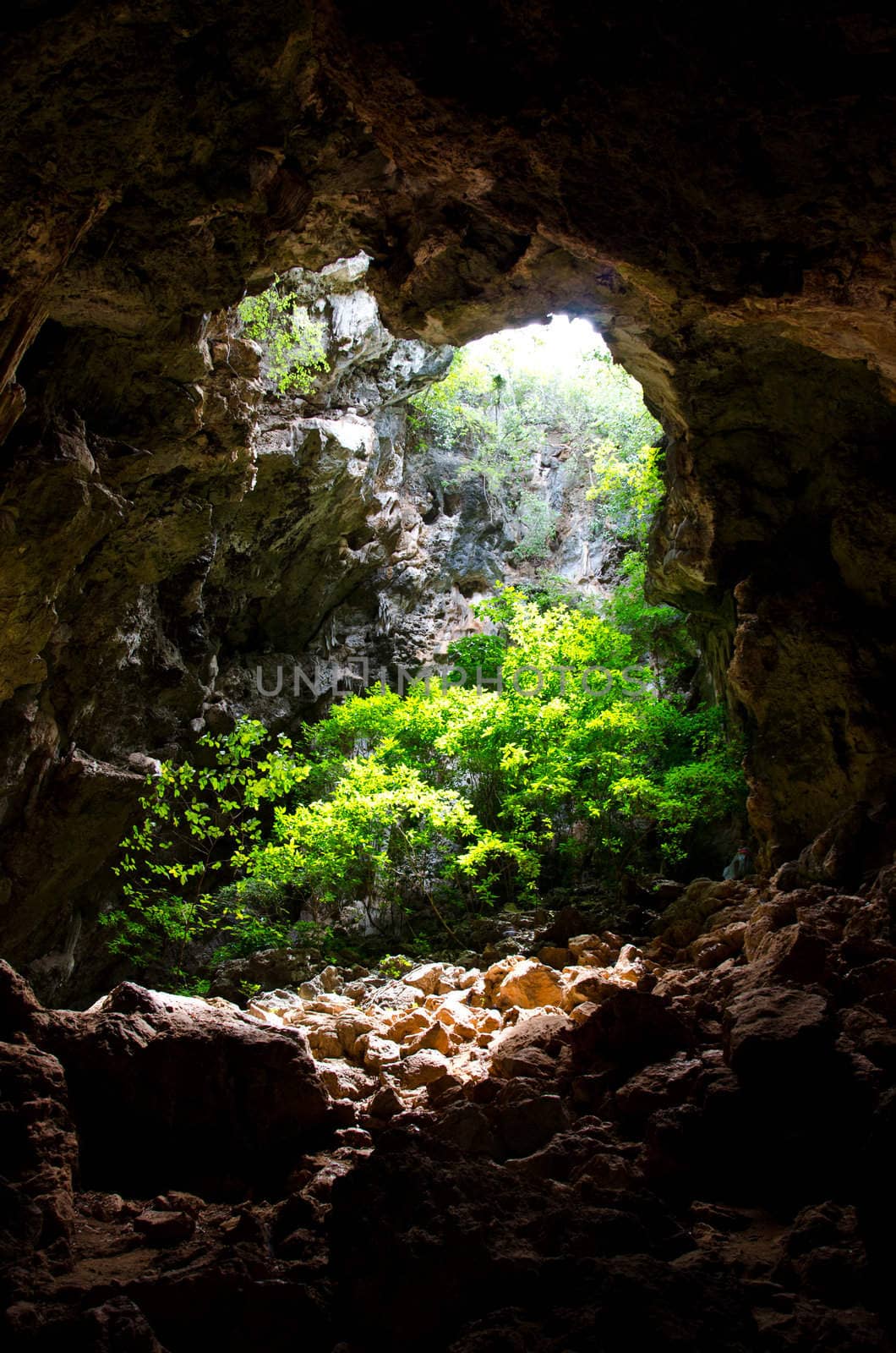 Entrance to natural caves with lush greenery by chatchai