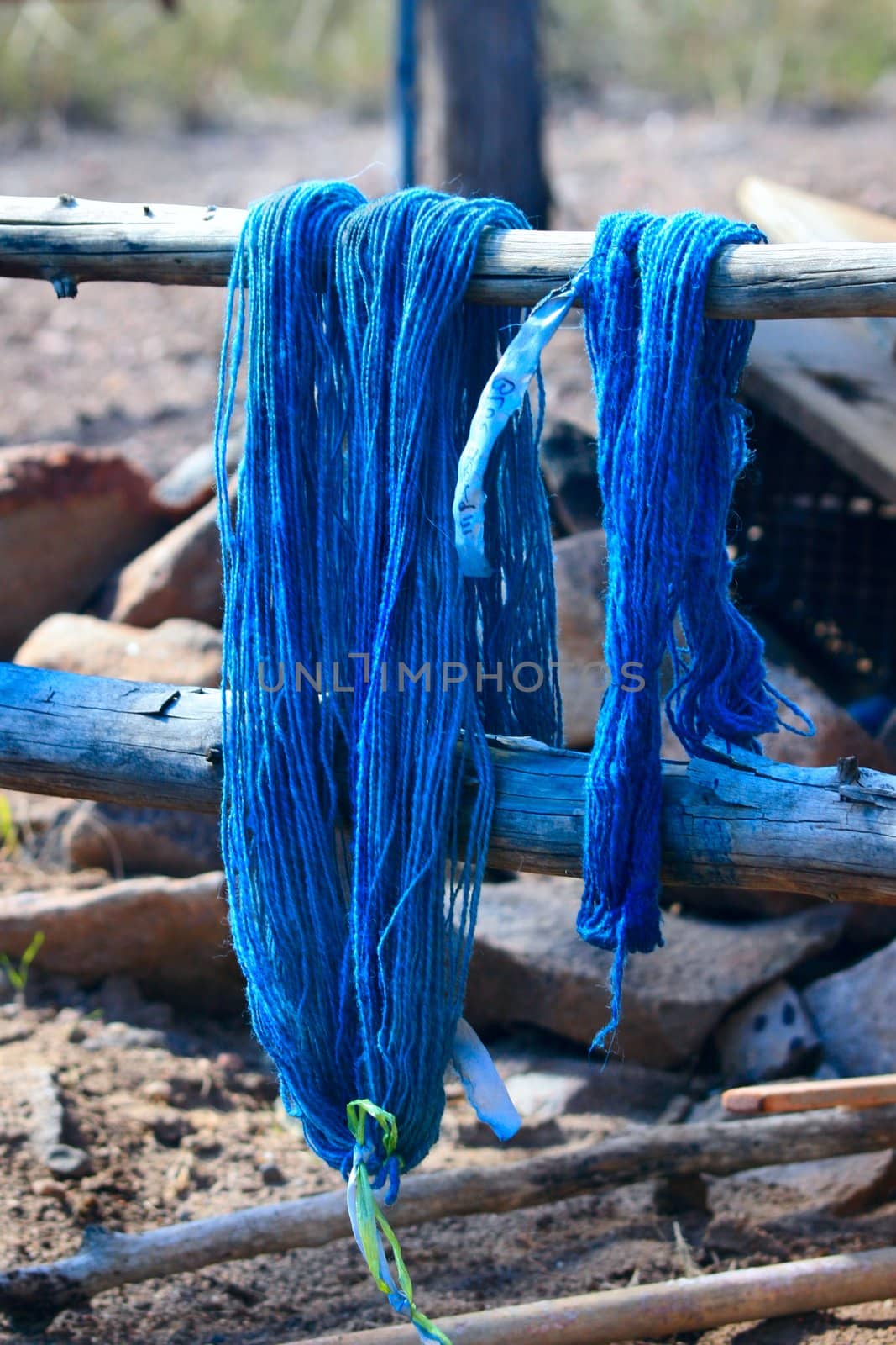 Natural dyed, handspun skeins of yarn, hanging on a corral fence pole to dry.  The blue hue is particularly difficult to achieve through natural methods and is highly prized. 