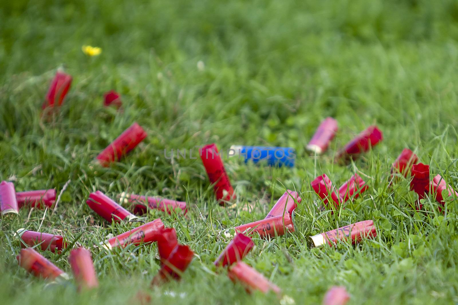 Shotgun Shells
