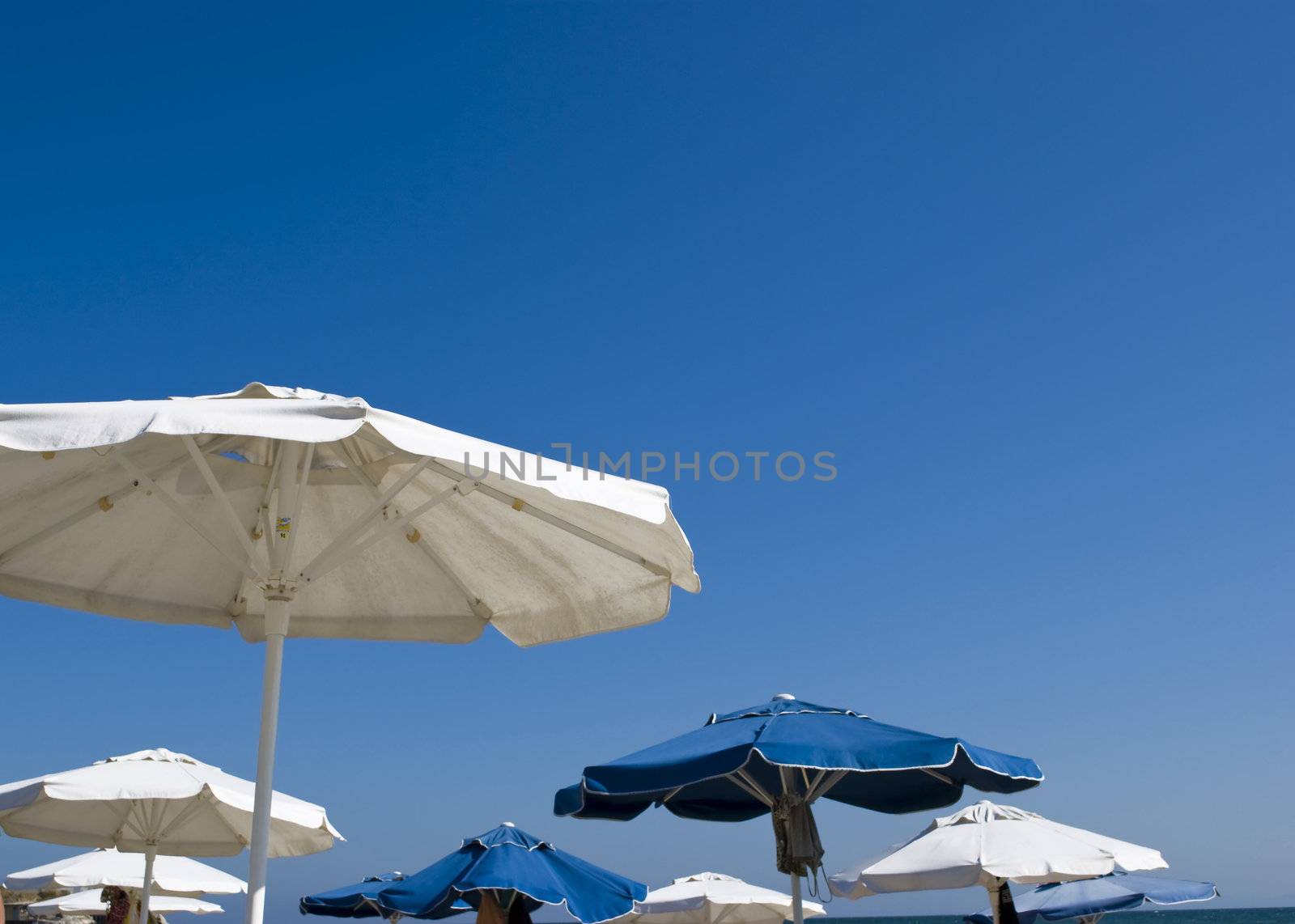 white and blue umbrellas on sunny beach