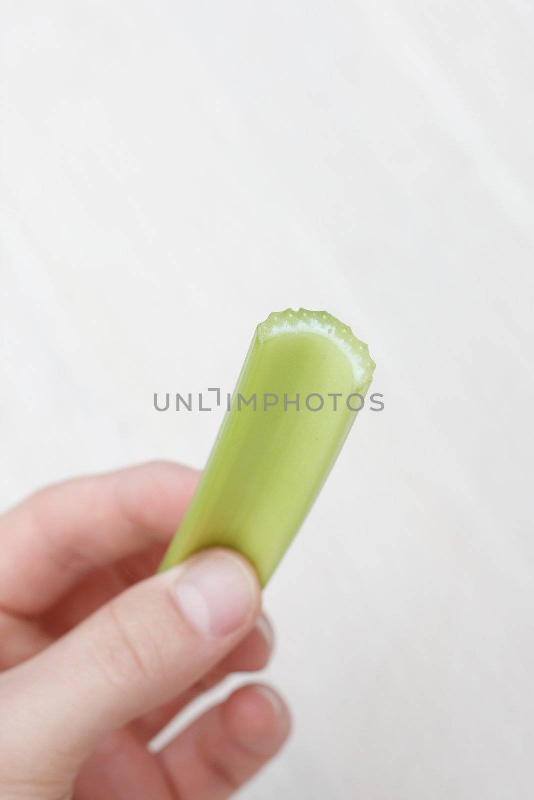 Hand holding a celery stick