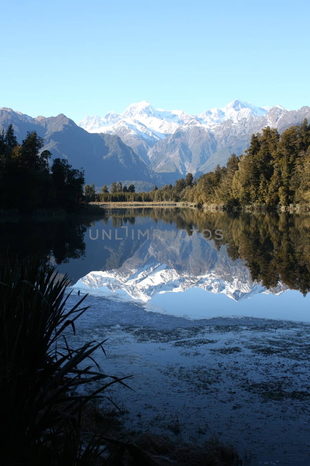 Beautiful Lake Matheson in New Zealand