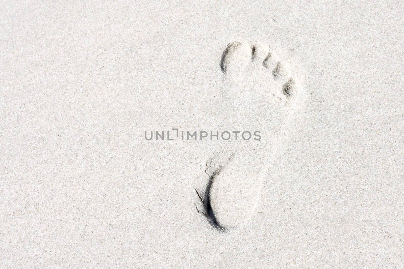 Footprint by leeser