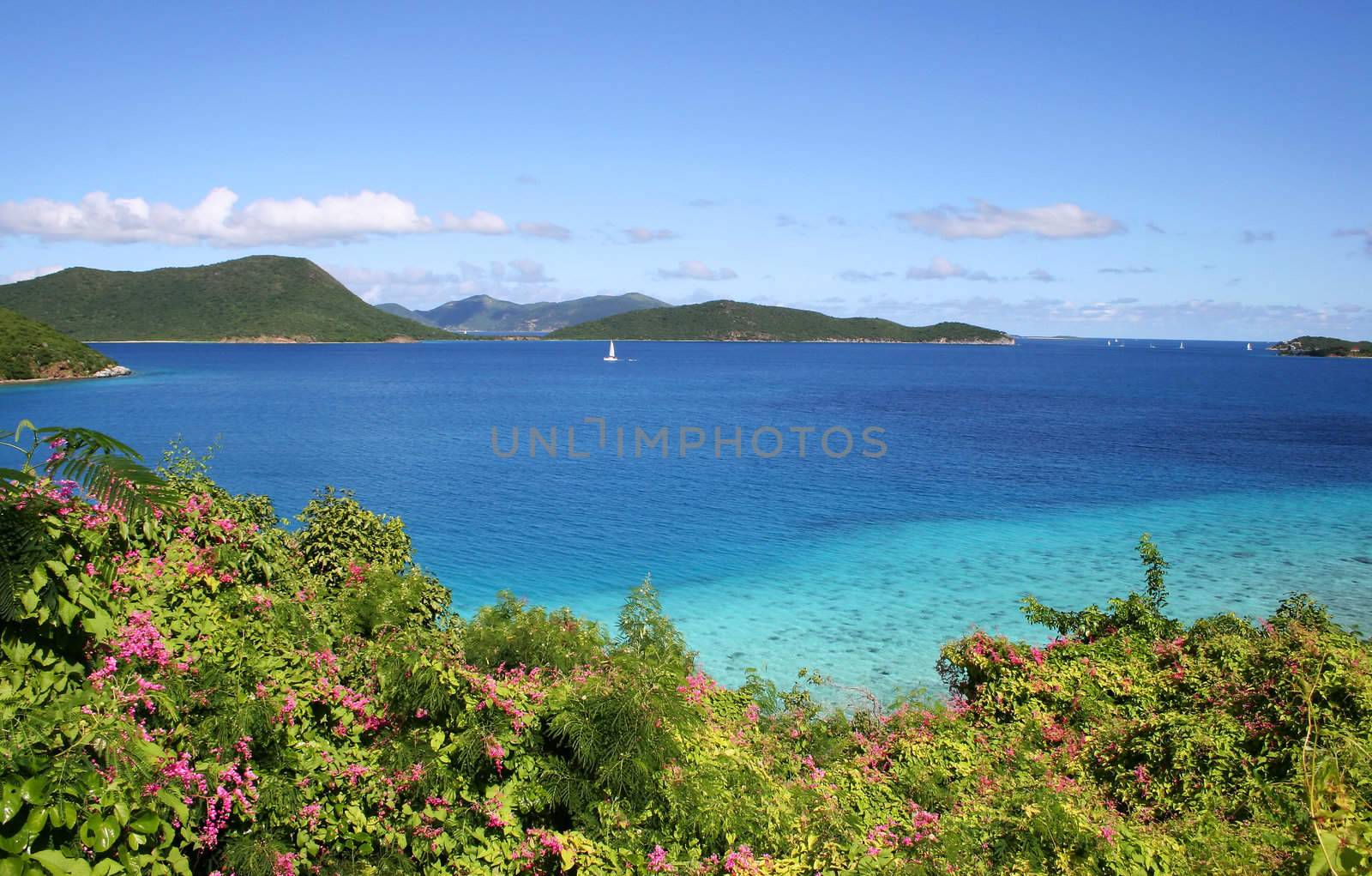 Leinster Bay on the Island of St John in the Caribbean