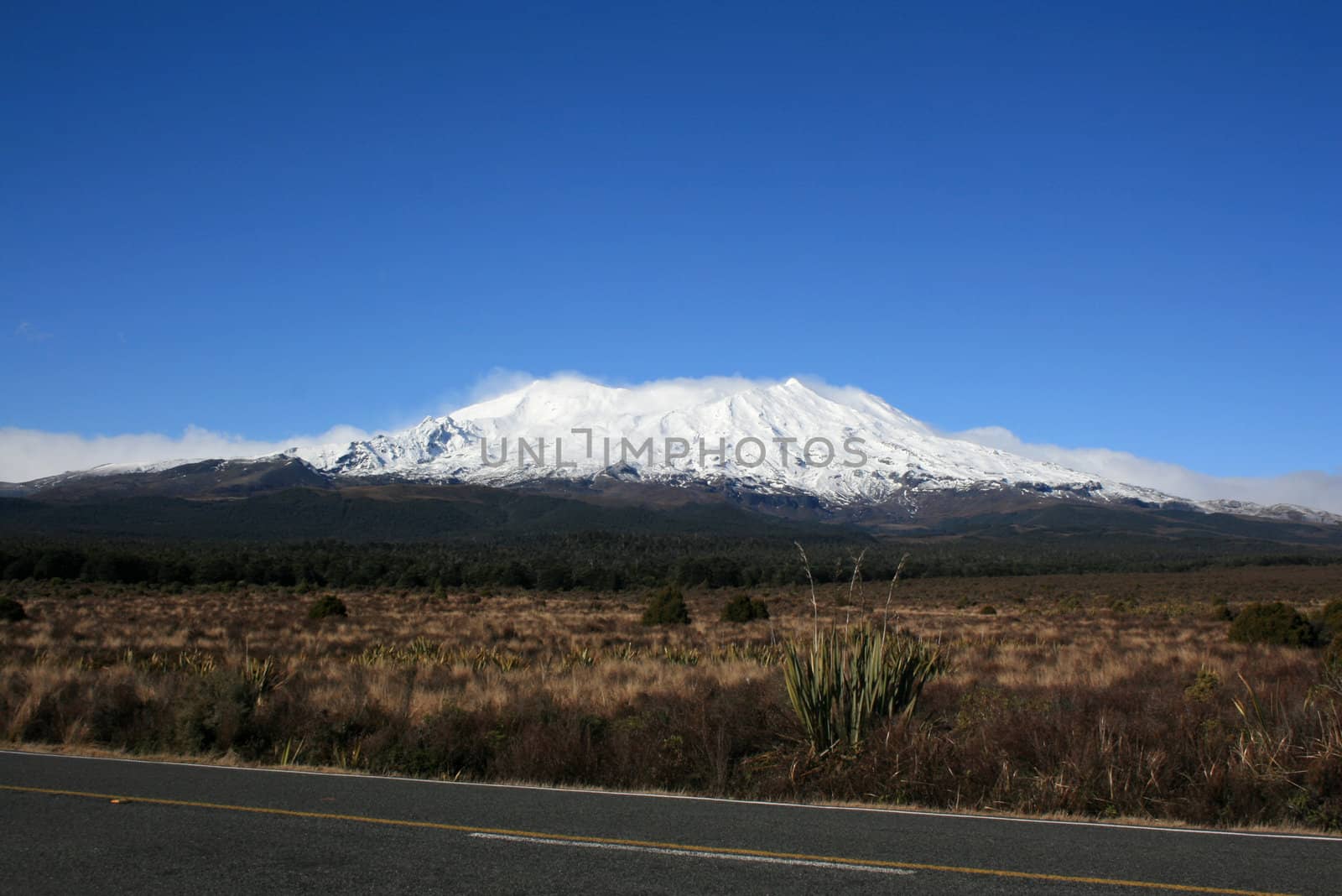 Tongariro National Park in New Zealand