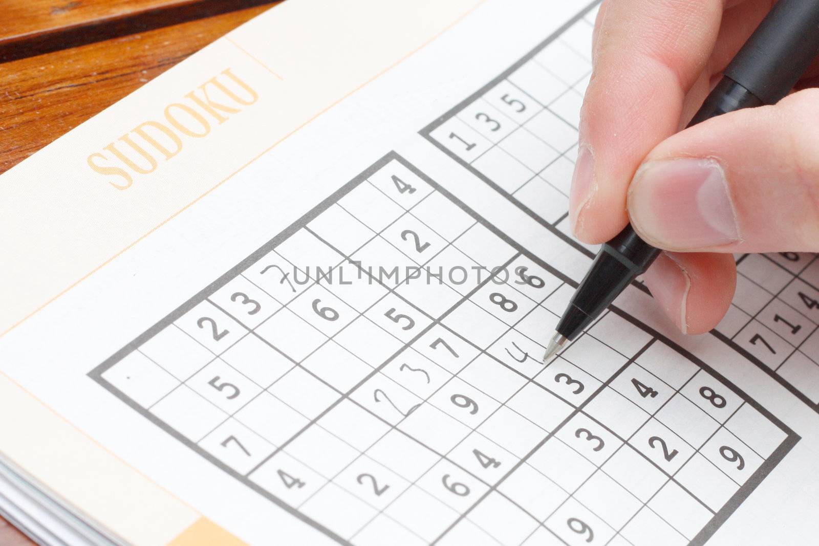 Solving sudoku by leeser
