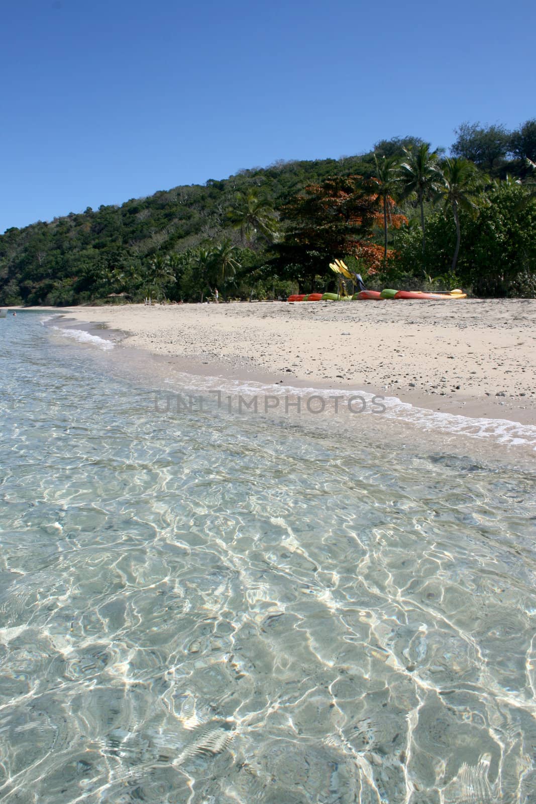 Exotic scene with kayaks on the beach