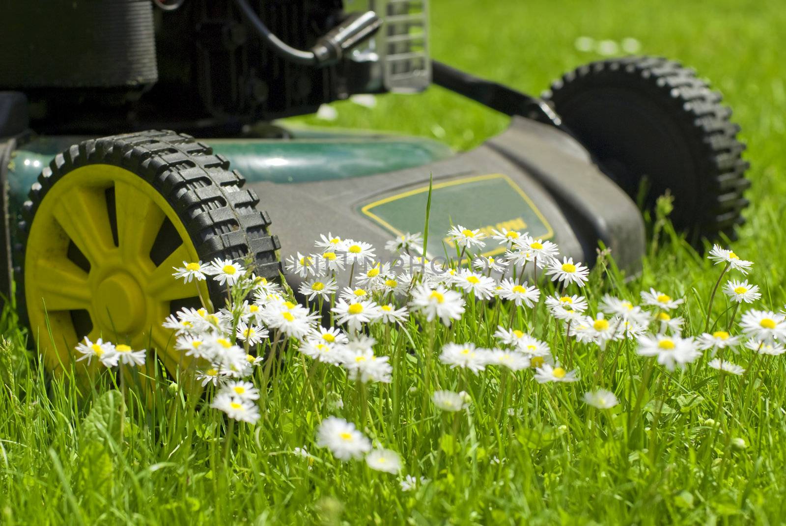 a lawnmover surrounded by flowers in the lawn