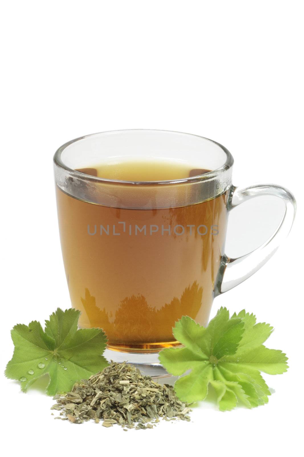 Herbal tea with ladys mantle - isolated on white background