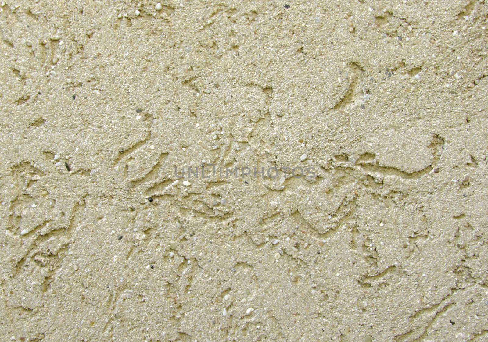 Close-up of a plastered wall