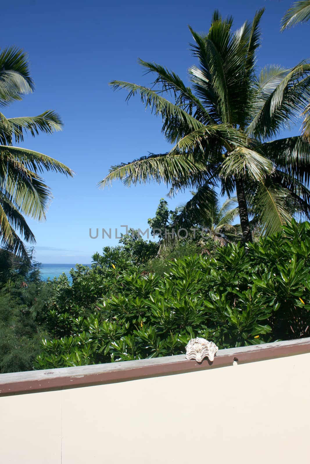 Balcony with a coconut palm view and ocean