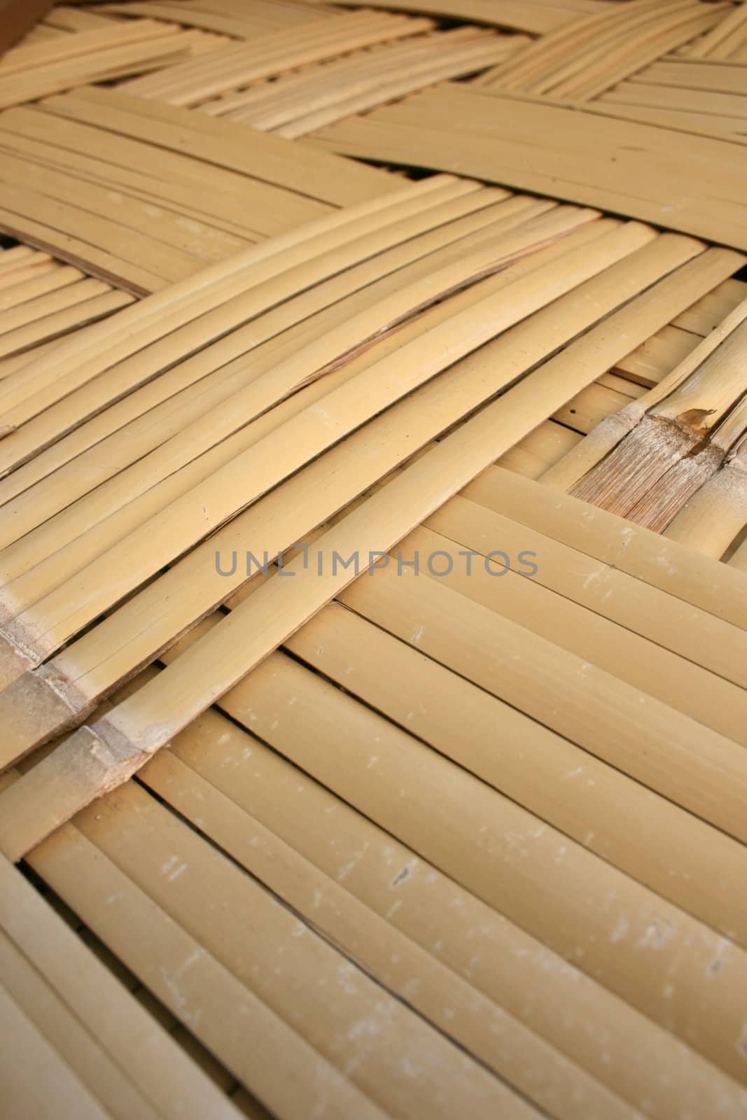 Bamboo by leeser
