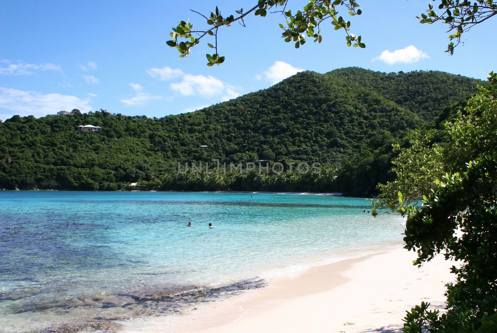 Sandy beach and bay on the island of St John in the Caribbean