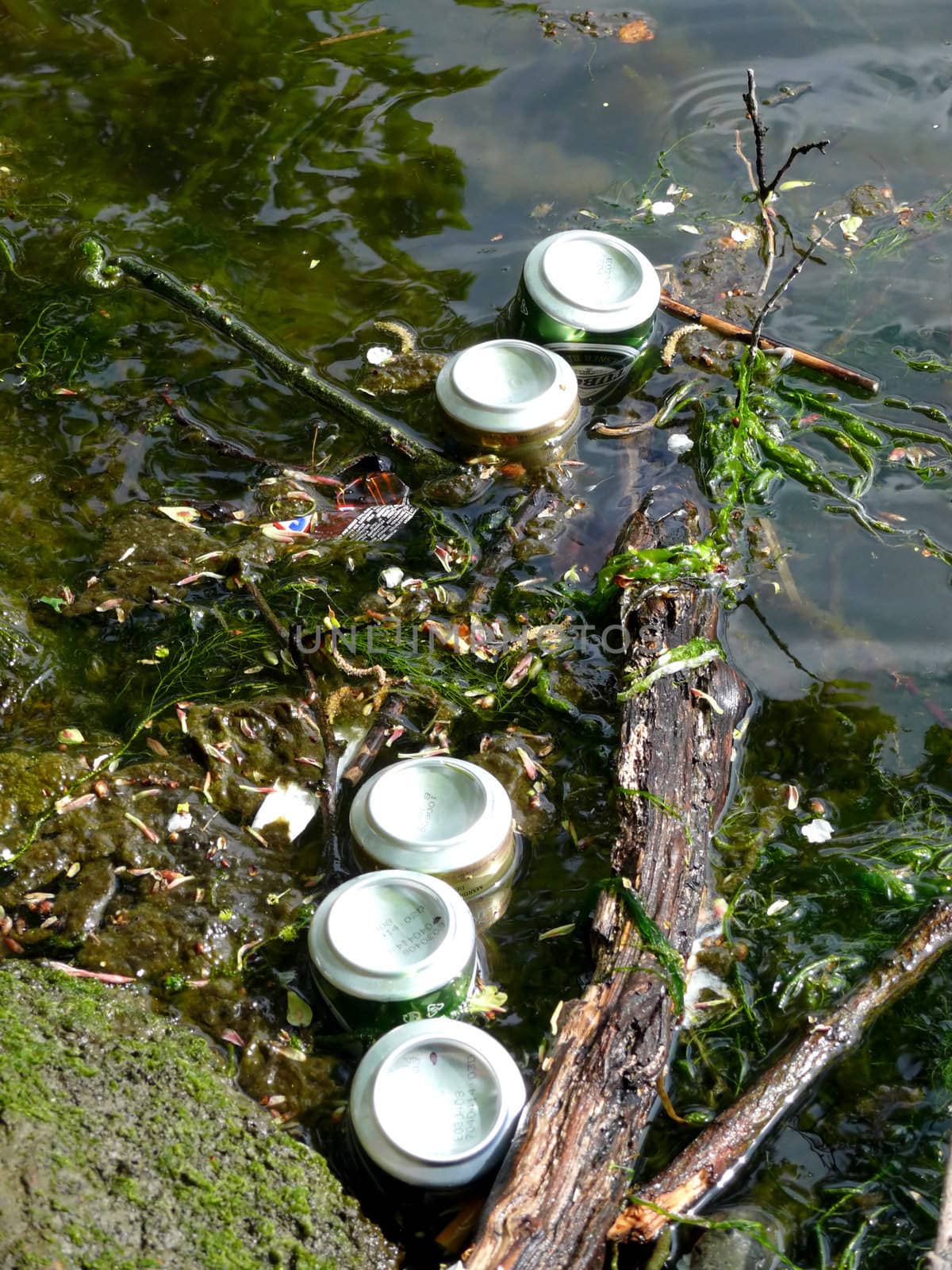 portrait of cans thrown in lake