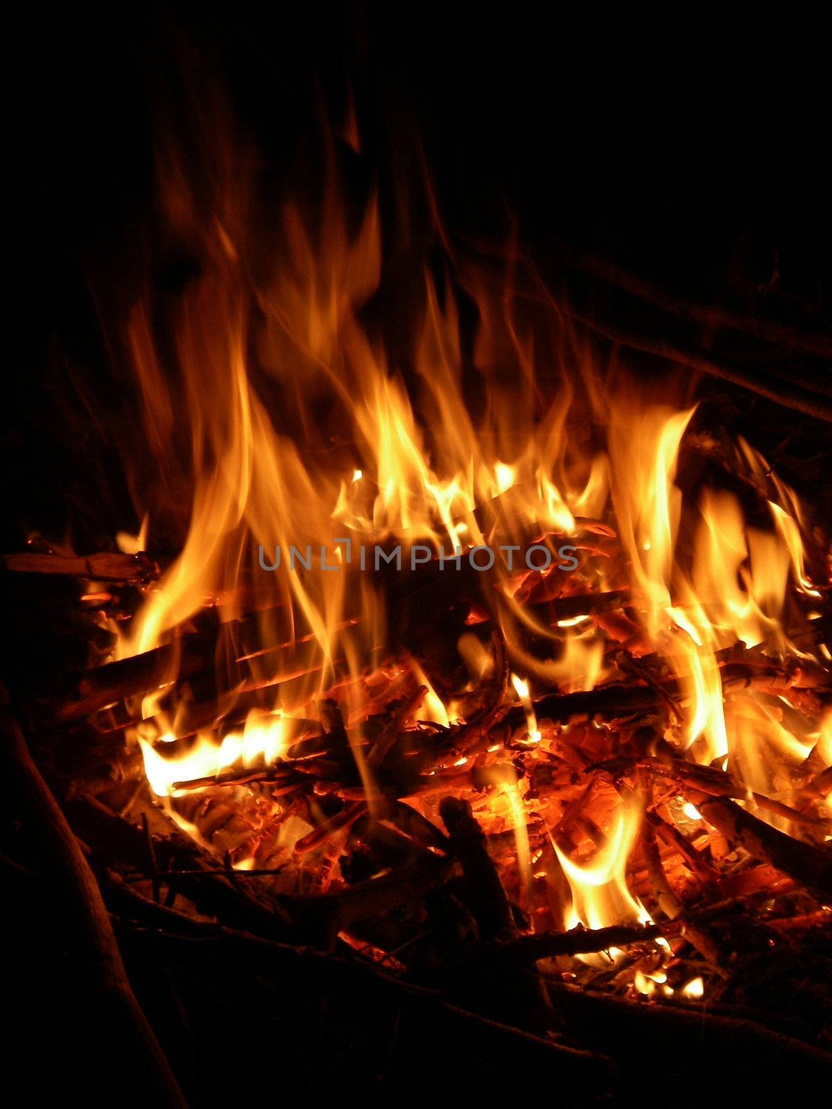 portrait of campfire outdoors in late cold night