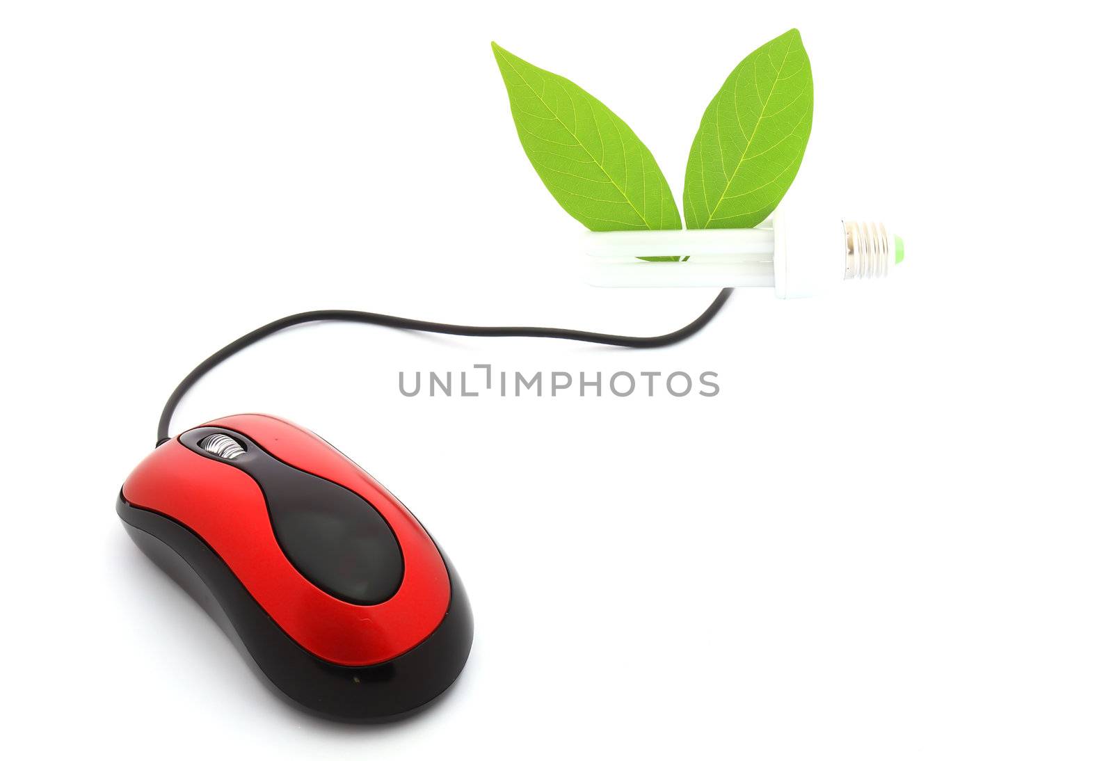 E-commerce - computer mouse and lamp  by rufous