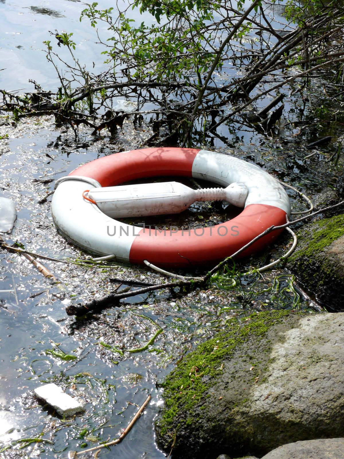 portrait of life buoy trown in water