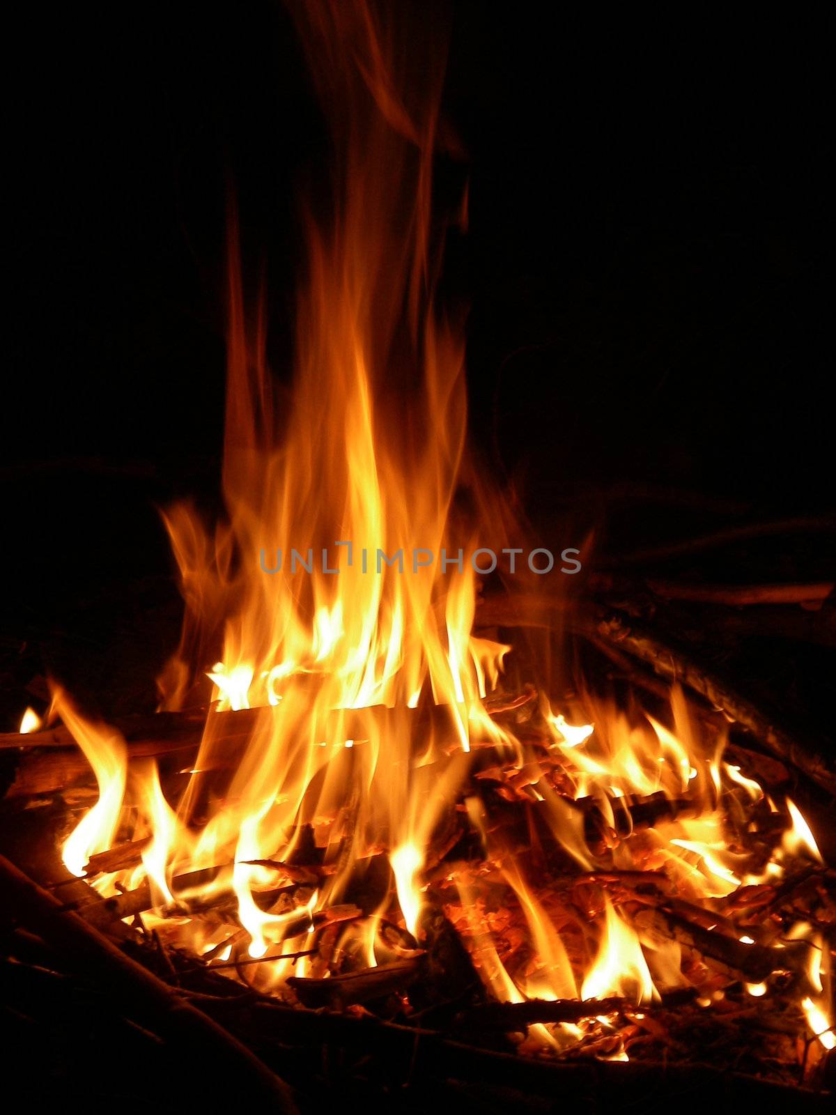 portrait of campfire outdoors in late cold night