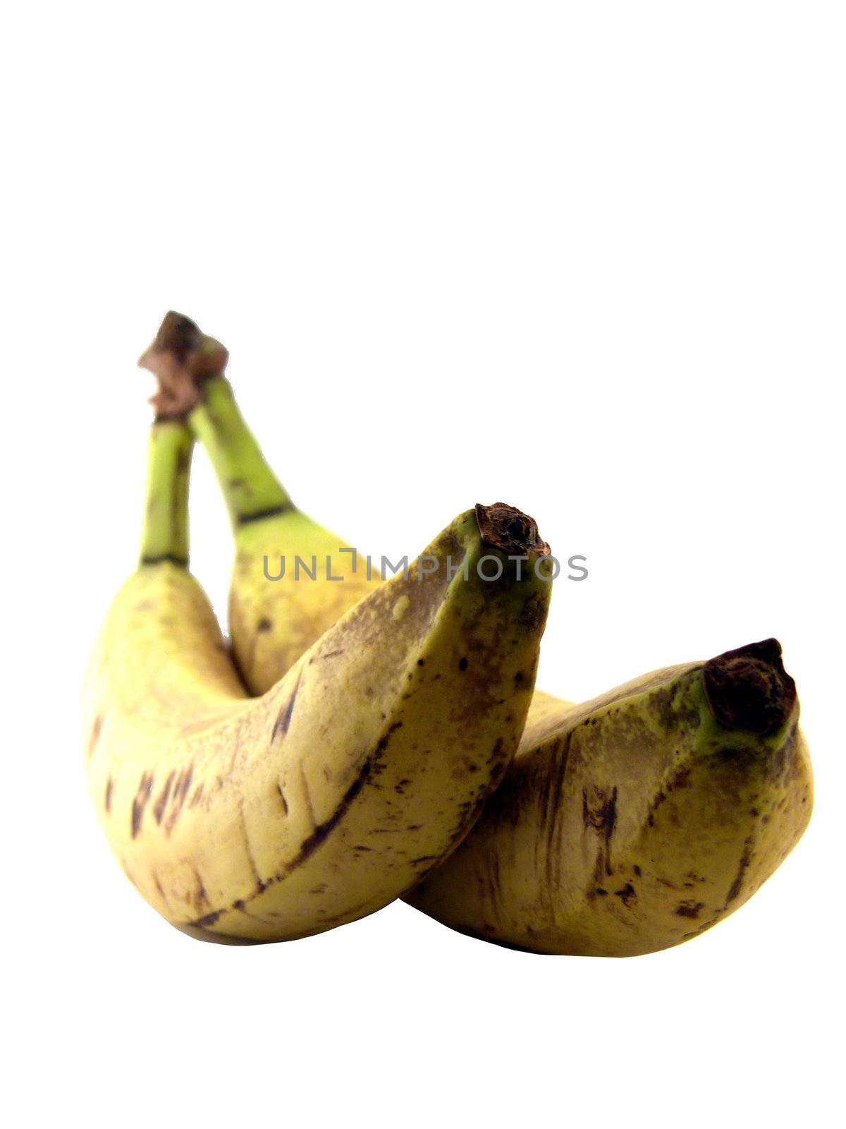 portrait of two old bananas over white background