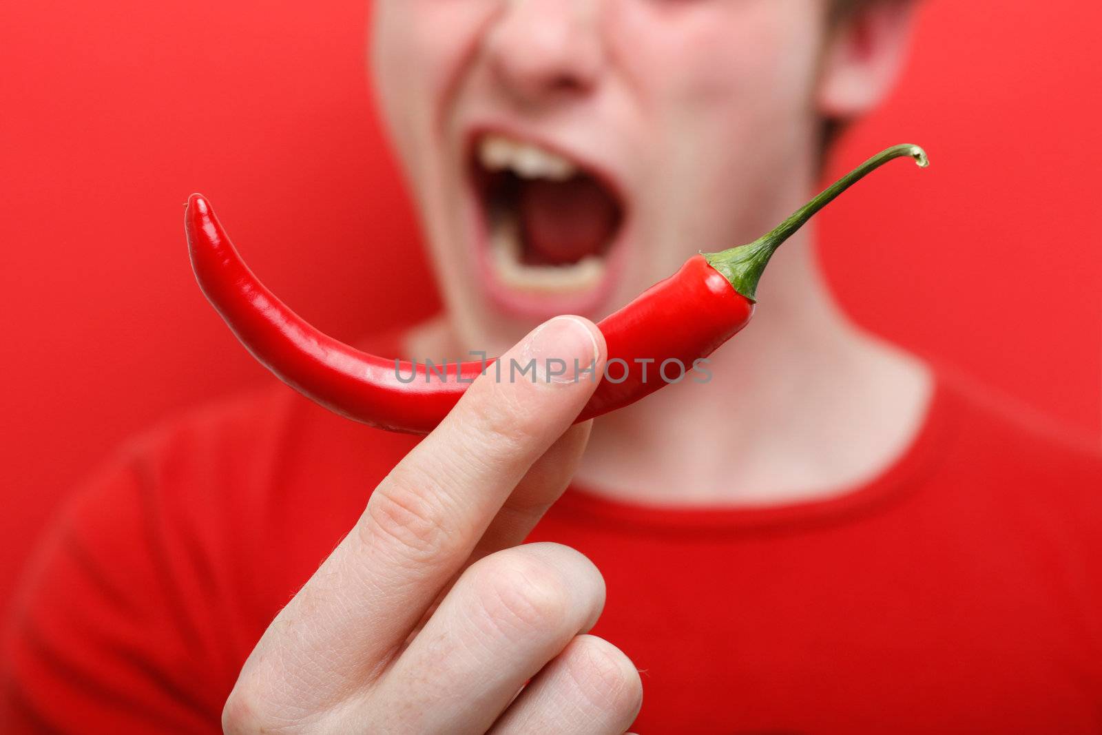 Eating chili pepper by leeser