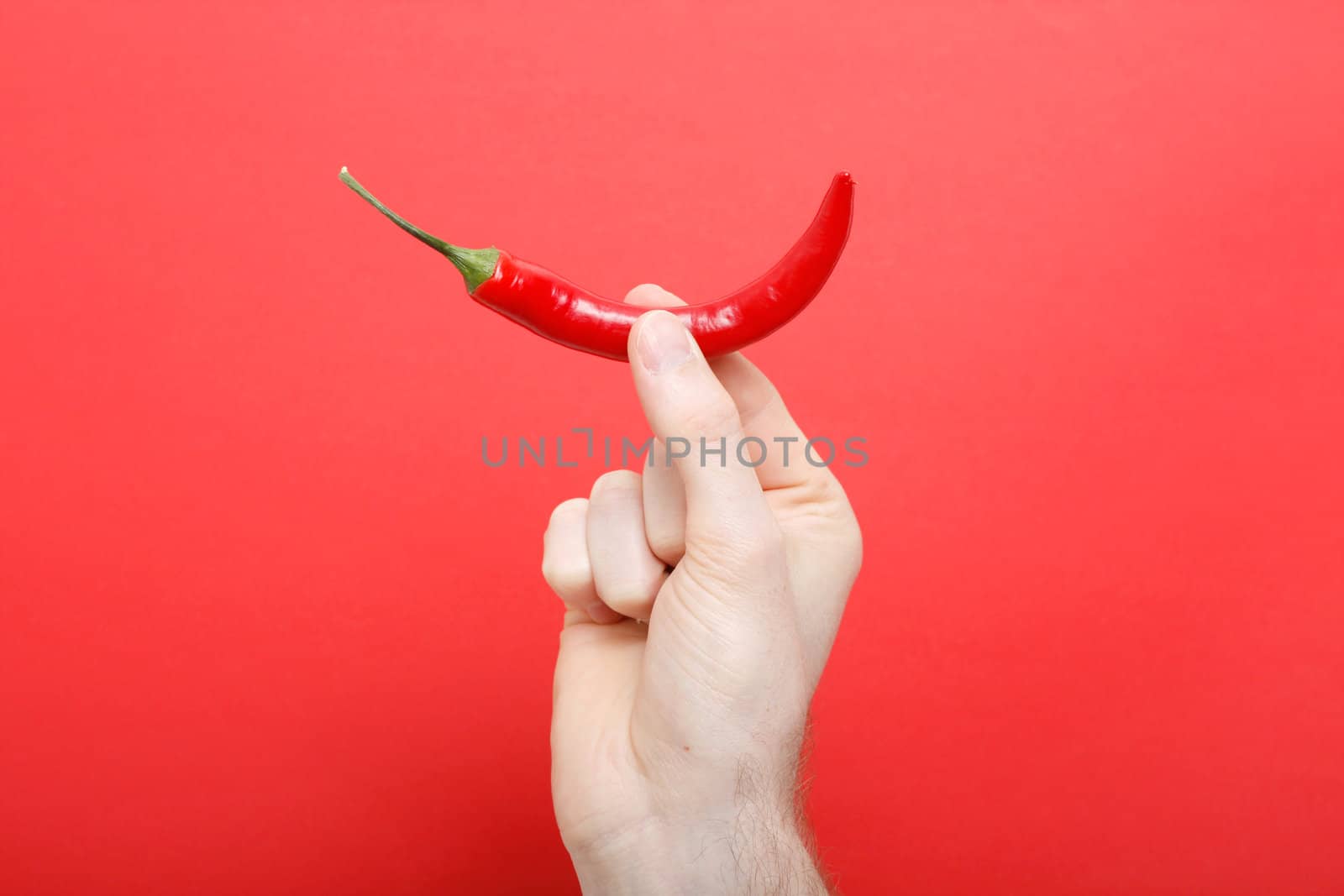 Hand holding chili by leeser